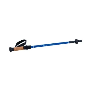 Rental Trekking Poles