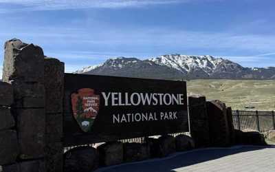Ultimate Yellowstone Summer Road Trip Guide | Bozeman Car Rental Tips