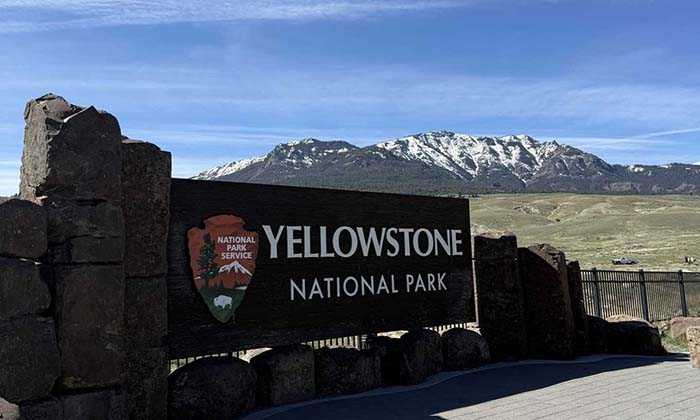 Ultimate Yellowstone Summer Road Trip Guide | Bozeman Car Rental Tips