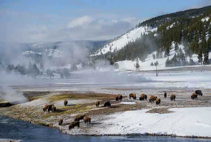 Best Time to Visit Yellowstone National Park - Winter (November–March)