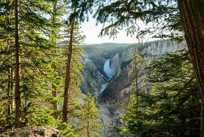 Planning Your Yellowstone Road Trip from Bozeman